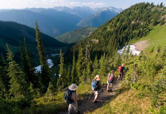 four people hiking on a british columbia trail