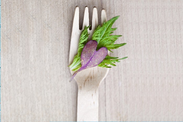Be-Mindful-and-Enjoy-your-food---wooden-fork-with-spring-greens