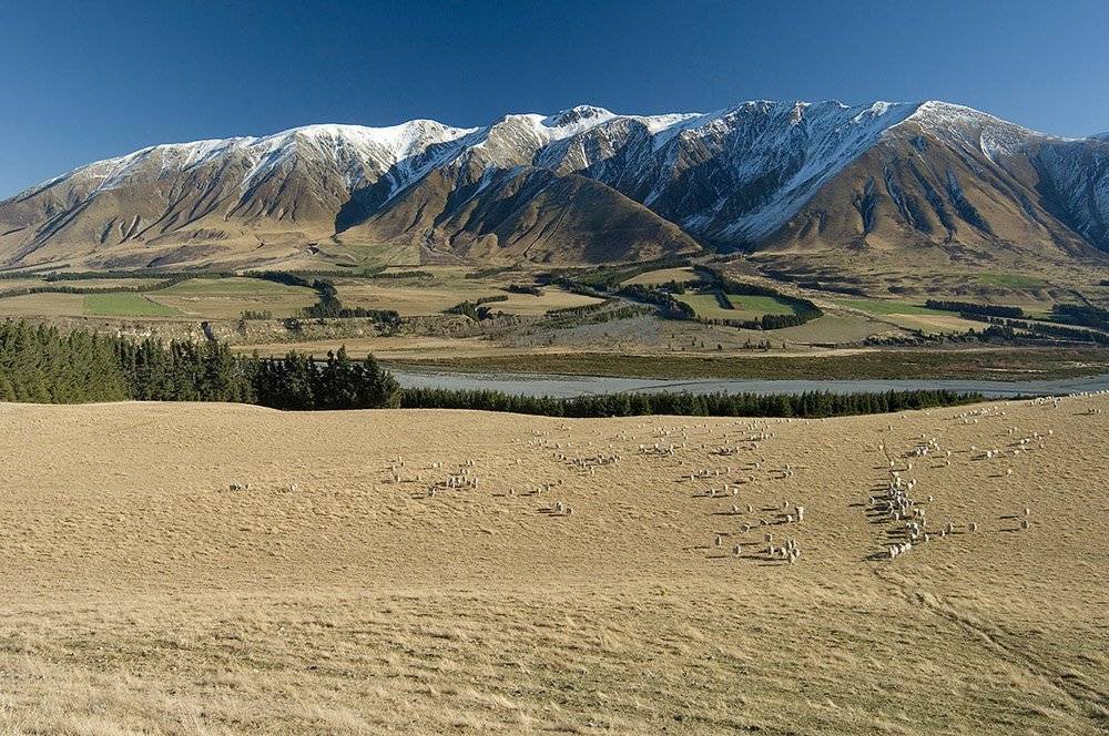 MiddleRock Farm New Zealand Mountain Trek Adventure Trek