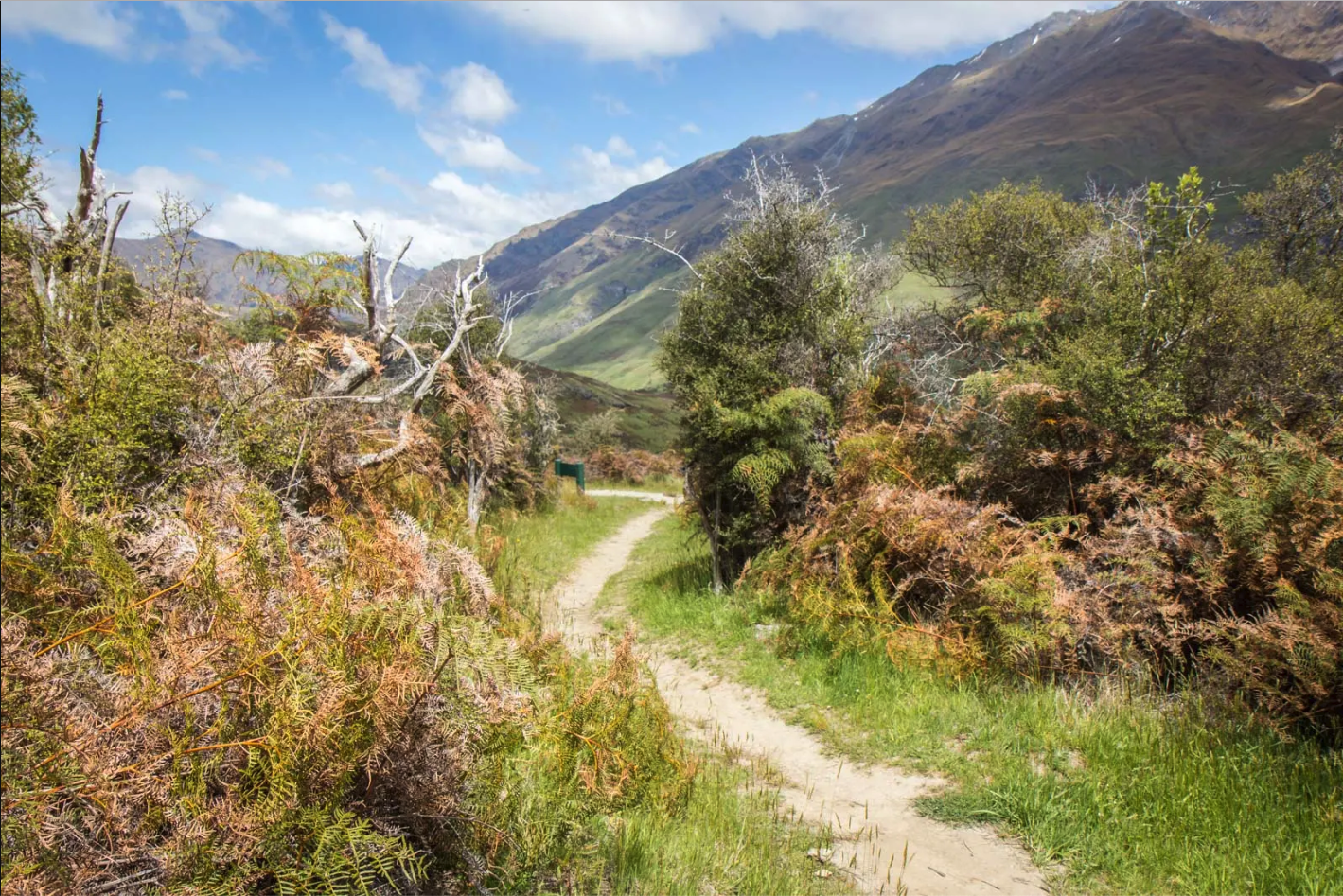 View of Rocky Mountain Hike seen on New Zealand Adventure Trek Mountain Trek