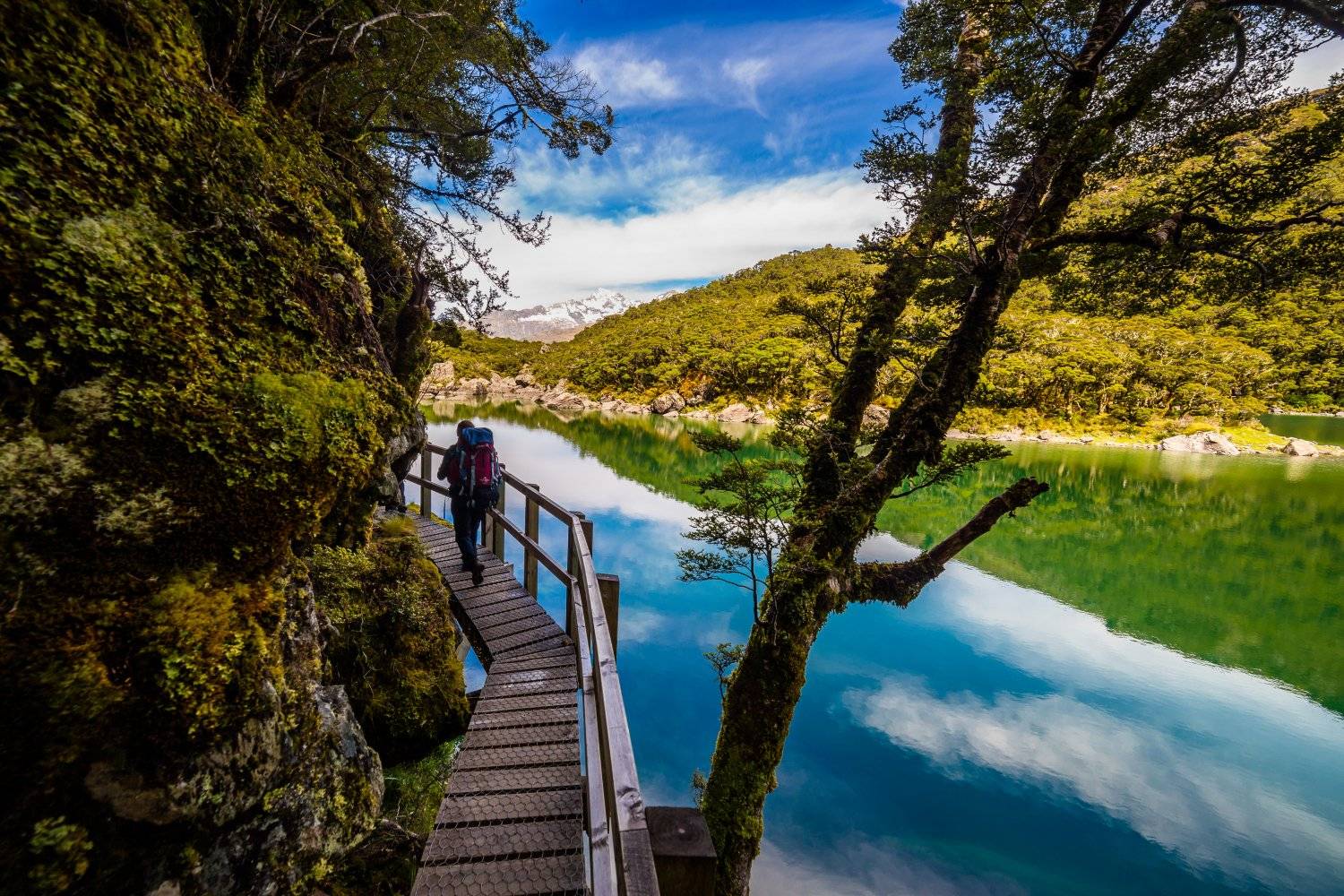 a man hiking on a bridge by a lake on Routeburn Track Hike in New Zealand