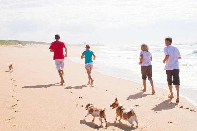 four people and 3 dogs running on a beach